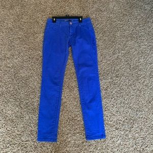 Refuge Blue Pant